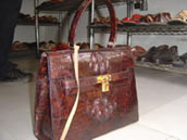 Thumbnail Image 1